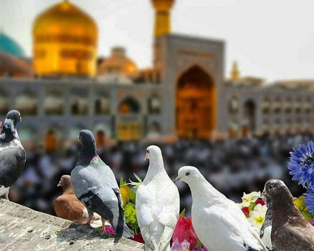 نتایج آزمون نمونه دولتی خراسان رضوی